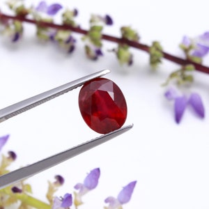 Peut inclure: Une pierre précieuse ovale de couleur rouge foncé, tenue par une pince. La pierre précieuse est un rubis.