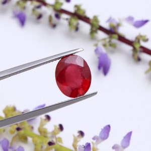 Può includere: Un rubino ovale di colore rosso intenso, tenuto da pinzette d'argento. La gemma è il punto focale dell'immagine, con fiori viola e vegetazione sullo sfondo, che ne esaltano il colore e la forma.