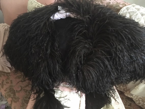 Old Cape Ostrich Feathers