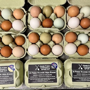May include: Six trays of free-range hen eggs, each tray containing six eggs of various sizes and colours. The trays are labelled "Home Farm Cornwall" and "6 Free Range Hen Eggs".