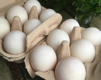 Fresh, Free Range DUCK EGGS