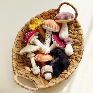 May include: A collection of various crocheted mushrooms in a woven basket. The mushrooms feature diverse colors including red with white spots, yellow, orange, pink, beige, and black, each with a white stem and detailed textured caps.