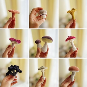 May include: A collection of nine individual crochet mushrooms in various shapes and colors, including shades of orange, brown, yellow, deep red, white, and black, each featuring intricate yarn stitching and distinct cap and stem structures.