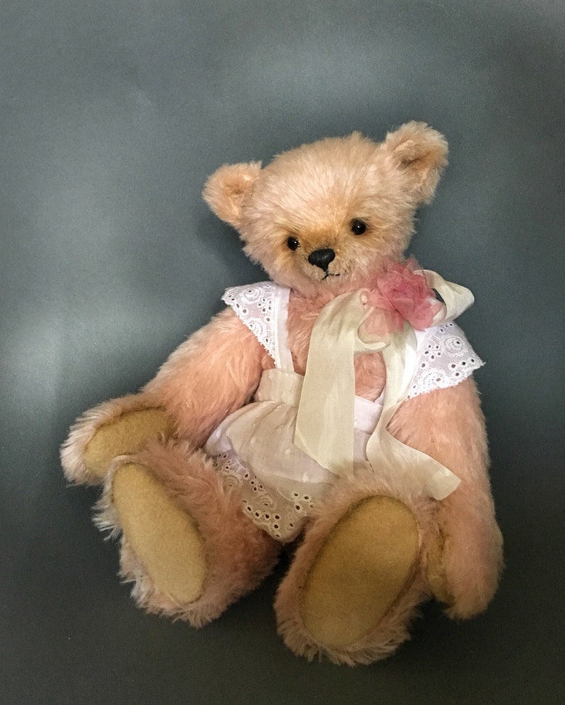 teddy bear classic