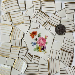 May include: A collection of broken white ceramic pieces with gold stripes and floral patterns. A quarter is included for scale. The pieces are arranged on a white surface, suggesting a mosaic or art project.