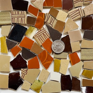 Mosaic Art and Craft Supply Recycled Broken China Tiles - Mixed Shades of Brown Orange and Green Earth Tone Tiles C637