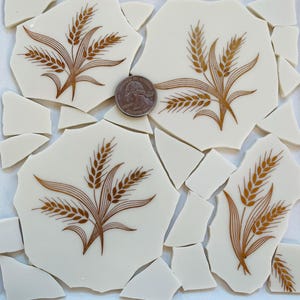 Puede incluir: Una colección de azulejos de cerámica blanca con un diseño de trigo dorado. Los azulejos están rotos en formas irregulares.