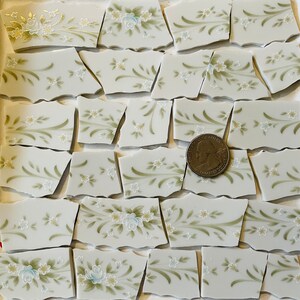 Broken China Pieces for Mosaic Tile -  Art and Craft Supplies Cut from China Plates Pastel Flowers and Green Leaves Tiles E260