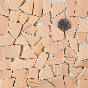 Mosaic Art and Crafts Supplies - Bright Apricot Broken Fiesta China Tiles E953