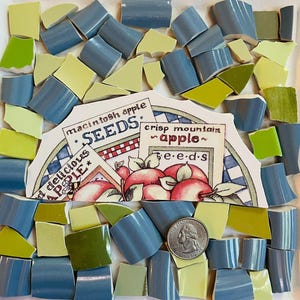 May include: A collection of ceramic mosaic tiles in shades of blue and lime green surrounding a central decorative tile featuring illustrations of red apples and text reading macintosh apple SEEDS and crisp mountain apple seeds with a US quarter.