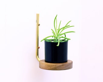 Decorative floating wall shelf made from solid brass and walnut wood