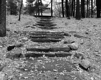 Fall Picture of Leave Covered Stairs