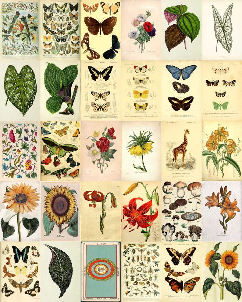 Digital 120 Pcs Boho Aesthetic Wall Collage Kit, affiche vintage, Room