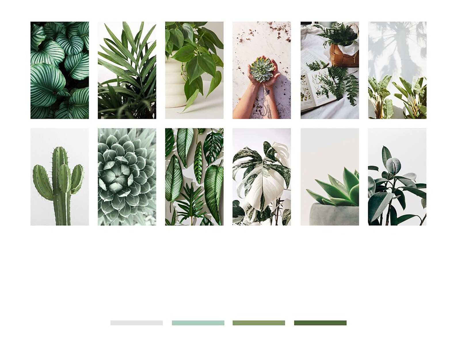 Botanical Aesthetic Wall Collage Kit Naturel Botanical Wall Etsy