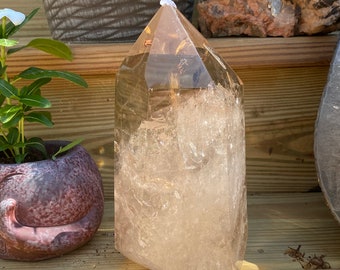 May include: A large, faceted smoky quartz crystal point. The crystal is a translucent brown color with visible internal structures. It stands upright on a wooden surface, with plants and other decorative items in the background.