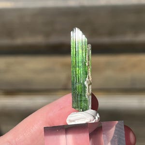 May include: A vertical, elongated green tourmaline crystal with distinct longitudinal striations and a translucent, faceted appearance. The crystal is mounted on a small white adhesive base atop a clear, rectangular acrylic display block.