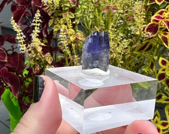 RARE NATURAL Tanzanite crystal from Merelanie Hills,Tanzania ~ Gem tanzanite 5 grams ~ purple blue Tanzanite - tanzanite castle - w/ stand