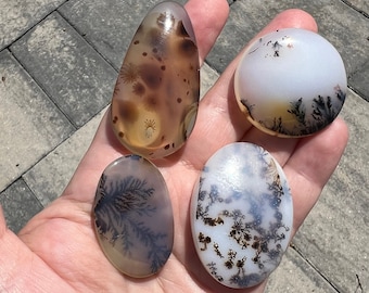 One dendritic agate crystal you choose