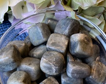 8741140020153 1pc Labradorite Cube Facetté 5-7mm Perle de Pierre