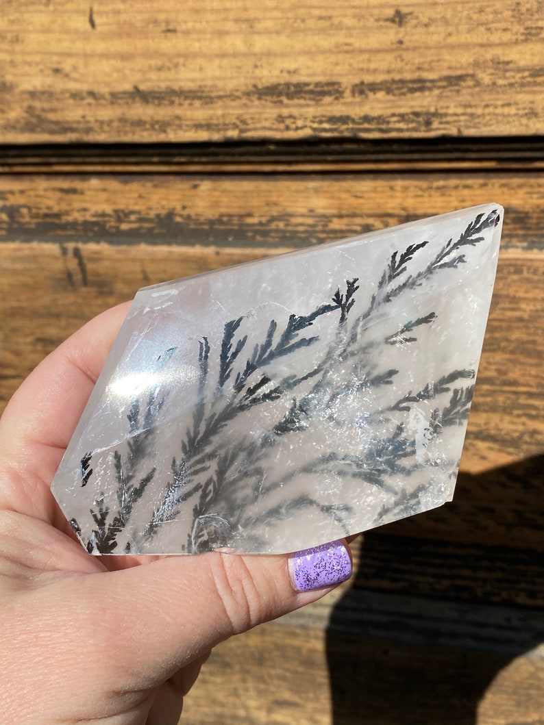 Rare Dendritic Quartz Clear Dendritic Quartz Freeform Etsy