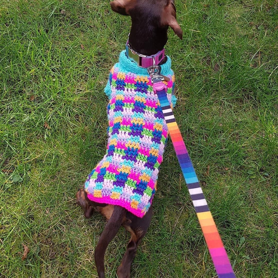 Custom Crochet Sausage Dog Jumper Etsy