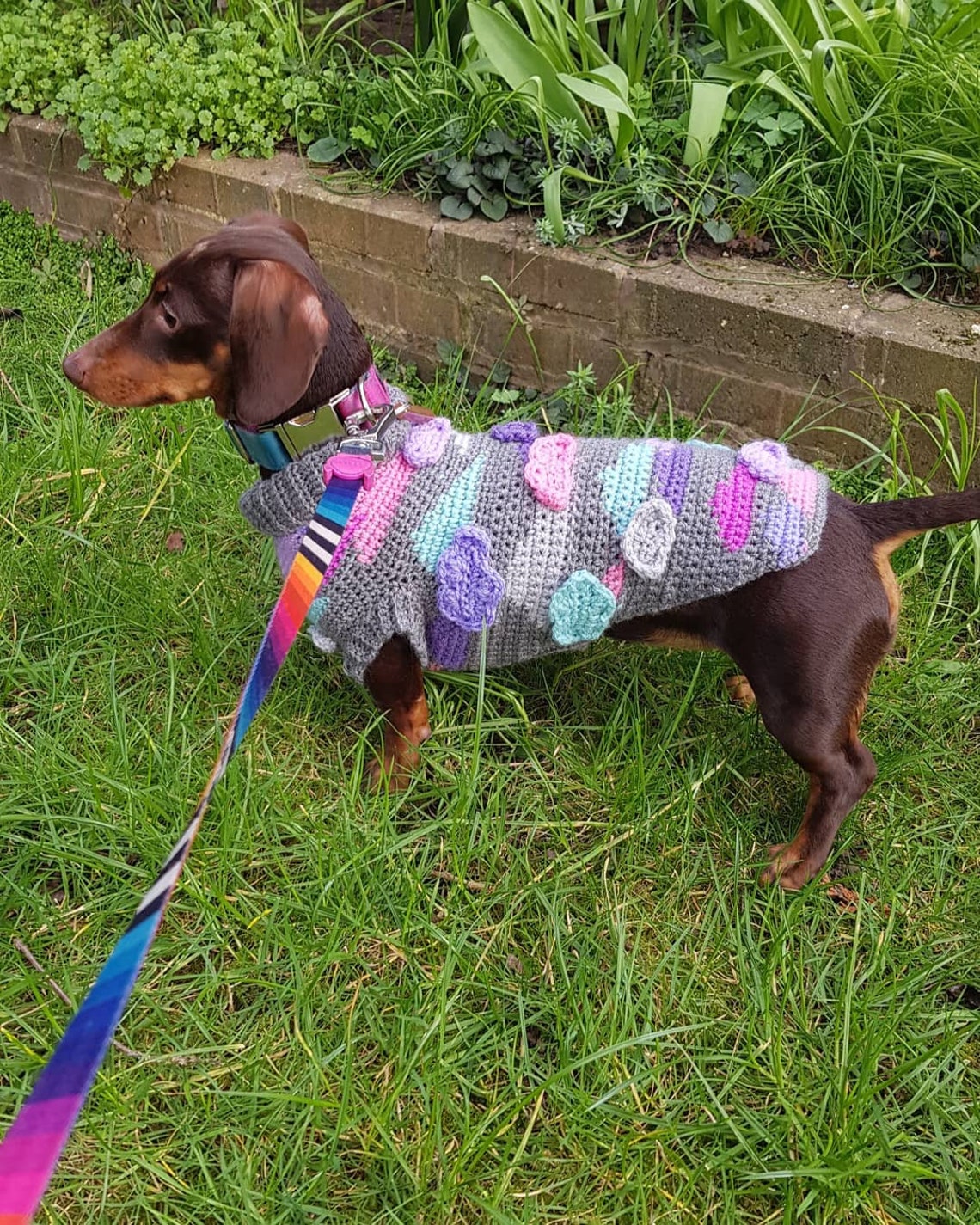 Custom Crochet Sausage Dog Jumper Etsy