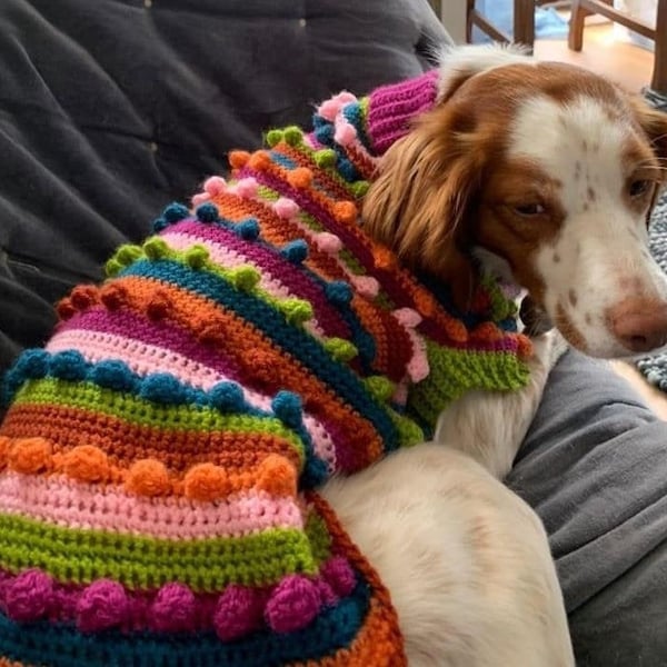 Crochet Dog Jumper Etsy