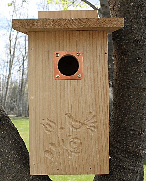 Sparrow Birdhouse Hole Size Chart