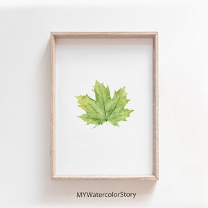 Puede incluir: Una pintura de acuarela enmarcada de una sola hoja de arce verde sobre un fondo blanco. El marco es de madera clara.