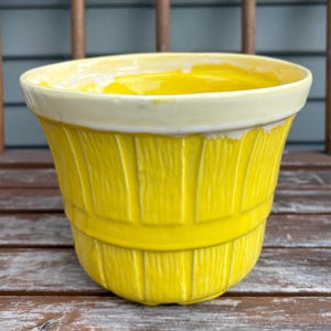 Peut inclure: Un pot de fleurs en céramique jaune vif avec une finition brillante et un extérieur texturé imitant l'apparence d'un panier en bois. Le bord est recouvert d'un émail blanc cassé contrastant qui coule légèrement sur les côtés du récipient.