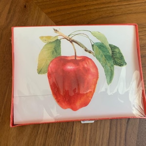 Vintage NIP Apple Note Cards / 15 Self-Sealing Postalettes by Hallmark / NOS Greeting Cards MCM
