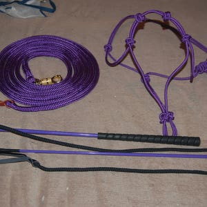 May include: Purple horse halter, lead rope, and a purple and black riding crop.