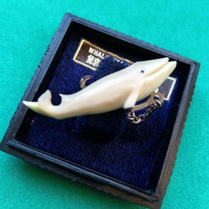 May include: A cream-colored whale-shaped brooch with a small black eye, attached to a silver-toned metal chain. The brooch is displayed inside a square black box with a dark blue velvet lining and a gold-trimmed plaque labeled WHALE.