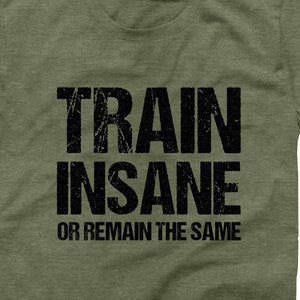 Train Insane or Remain The Same T-Shirt, Mens Gym Tee, Workout Mens T-Shirt, Fitness Apparel, Workout Gift For Him, Motivation Clothing