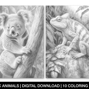 Exotic Animals Coloring Page for Adults, Printable Exotic Animal Sheets