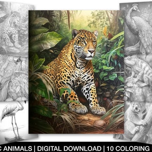 Exotic Animals Coloring Page for Adults, Printable Exotic Animal Sheets
