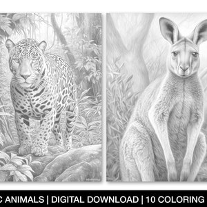 Exotic Animals Coloring Page for Adults, Printable Exotic Animal Sheets