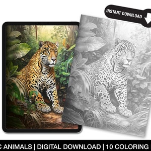 Exotic Animals Coloring Page for Adults, Printable Exotic Animal Sheets