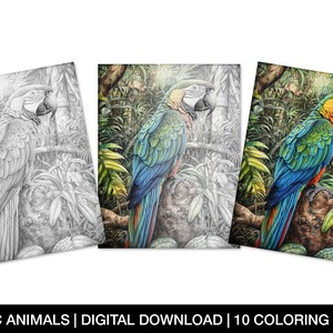 Exotic Animals Coloring Page for Adults, Printable Exotic Animal Sheets