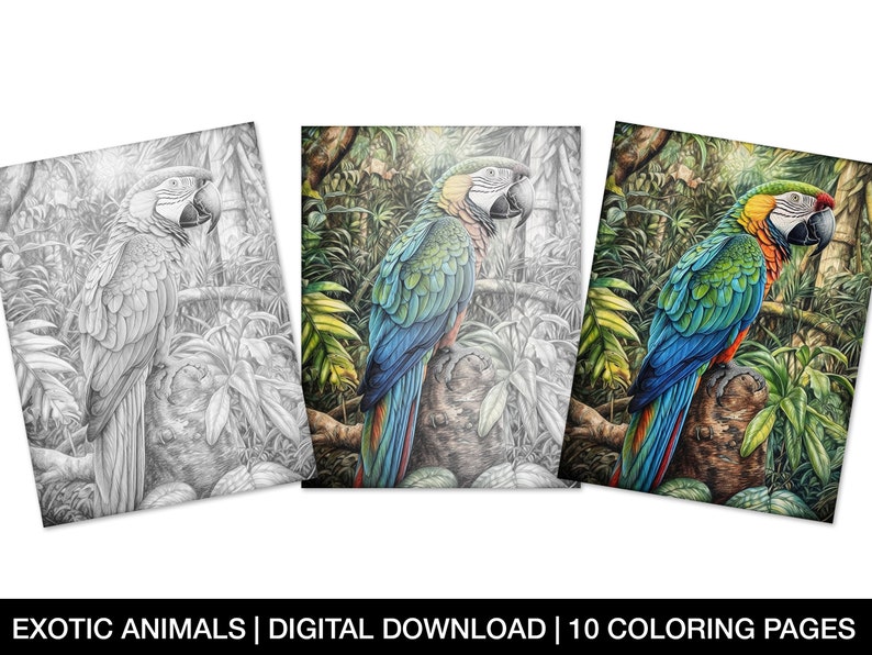 Exotic Animals Coloring Page for Adults Printable Exotic - Etsy