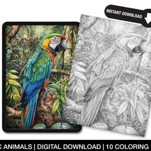 Exotic Animals Coloring Page for Adults, Printable Exotic Animal Sheets