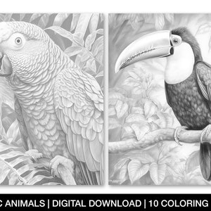 Exotic Animals Coloring Page for Adults, Printable Exotic Animal Sheets