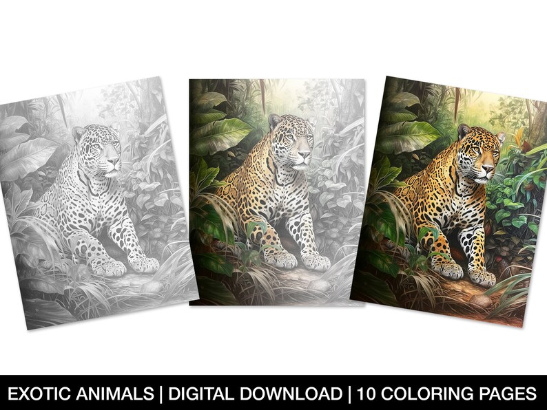 Exotic Animals Coloring Page for Adults Printable Exotic - Etsy