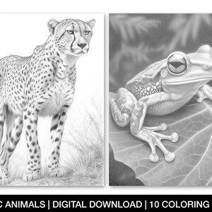 Exotic Animals Coloring Page for Adults, Printable Exotic Animal Sheets