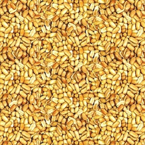 Kanvas Studios Fabric Beer Nuts Quilting Fabric 100% Cotton