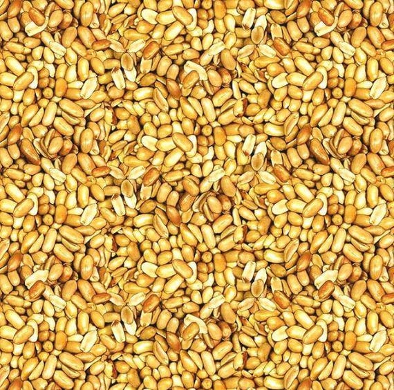 Quilting Fabric: Beer Nuts Print - Soft, Durable Cotton