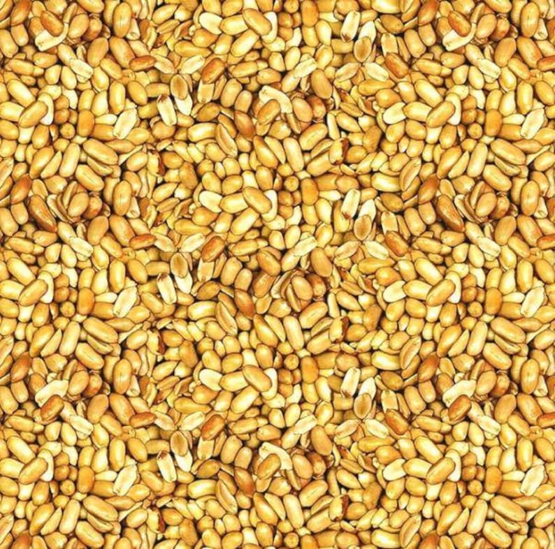 Quilting Fabric: Beer Nuts Print - Soft, Durable Cotton image 1