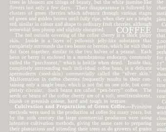 Coffee Chalk Cotton Fabric: Warm Toned, Quilting Material