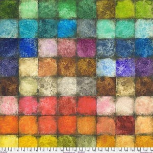 Tela de lona con bloques de color Eclectic Elements (CCTH010) para Freespirit