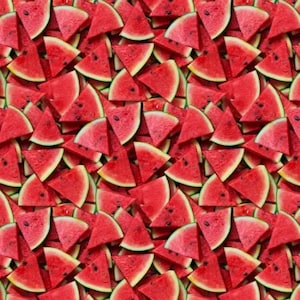 100% Cotton Windham Fabrics 'A La Carte - Watermelon'